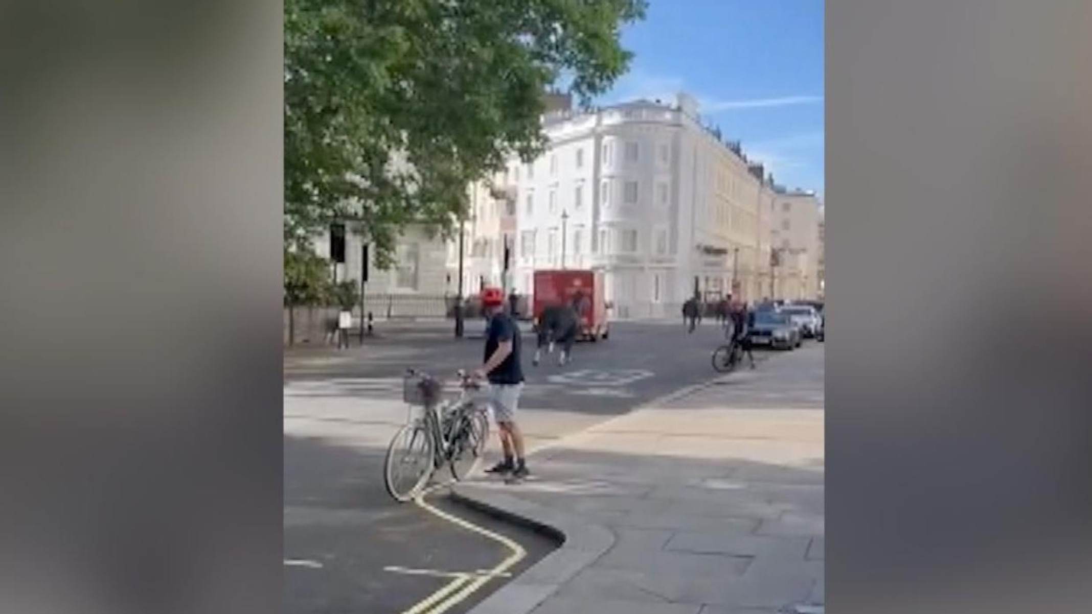 Cavalos militares fogem e correm pelas ruas de Londres