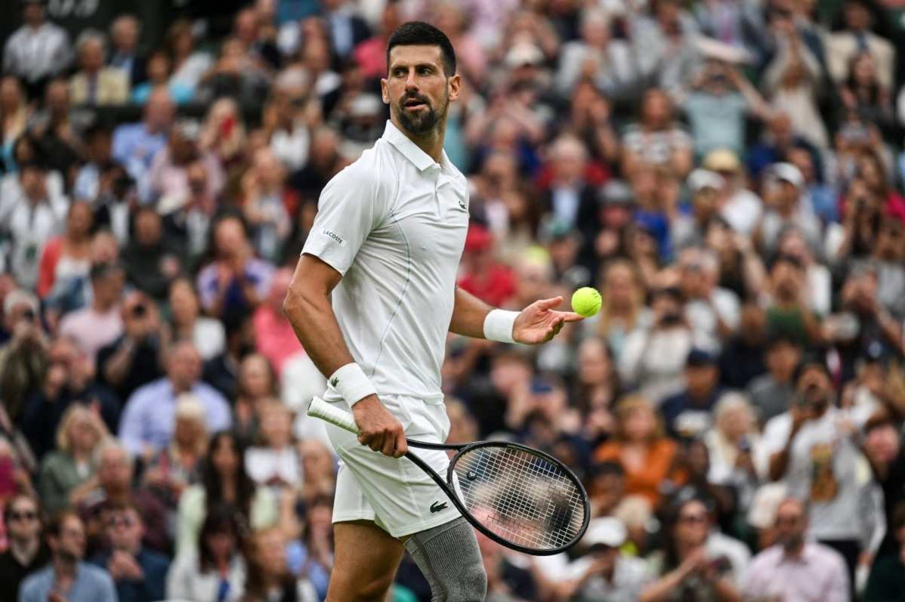Djokovic arrasa na estreia em Wimbledon e Brasil tem mix de sensações