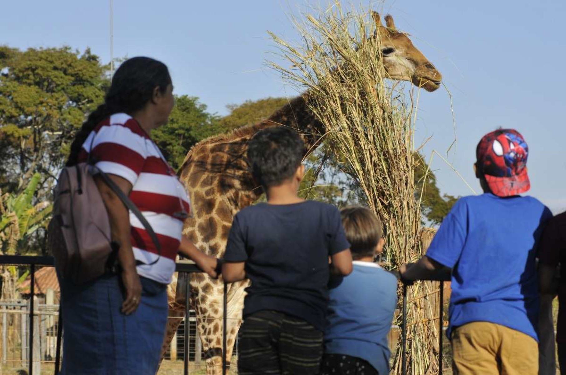  Colônia de férias no Zoológico de Brasília.