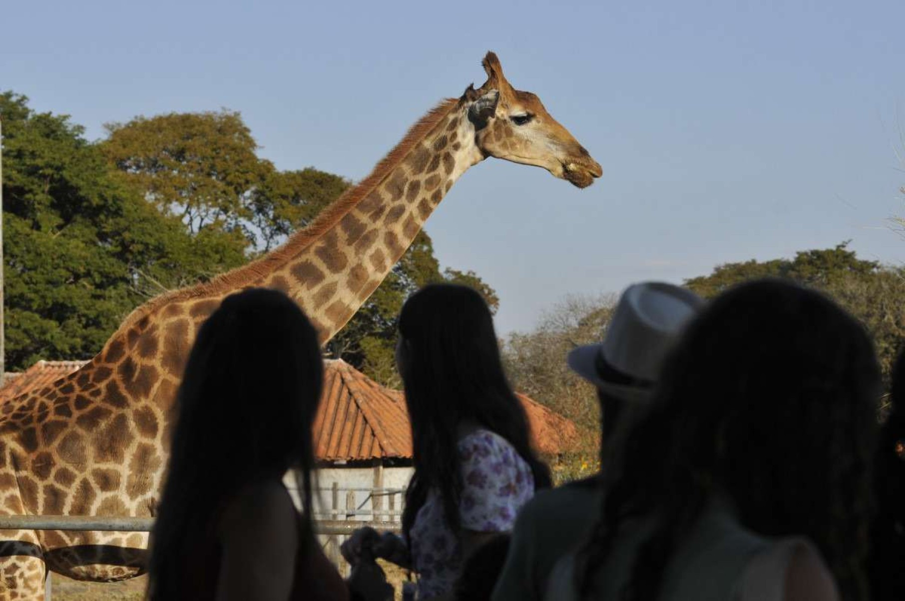 Jardim Zoológico de Brasília