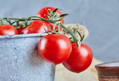 Se você já pensou em trabalhar na Europa, aqui vai uma boa oportunidade: a empresa Conserve Italia está em busca de trabalhadores temporários para cinco locais de colheita de tomate. -  (crédito: freepik azerbaijan_stockers)