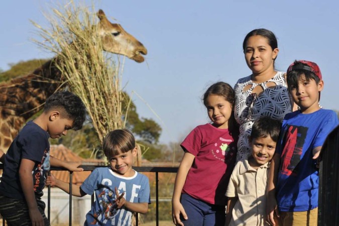 No Zoológico, a girafa é uma das prediletas de Isis, filha de Ivanilde, que levou a garota e os sobrinhos ao local -  (crédito:  Minervino Júnior/CB/D.A Press)