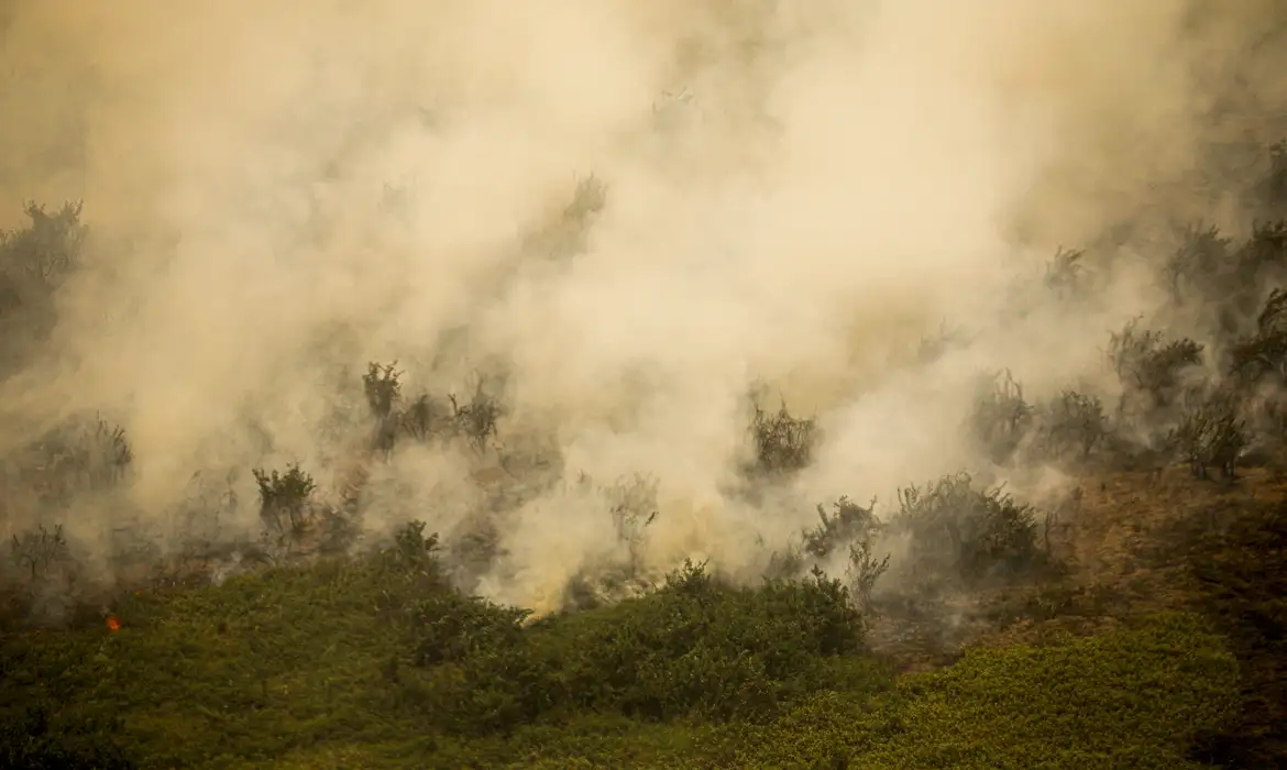 Pantanal tem este ano maior área queimada em junho -  (crédito: EBC)