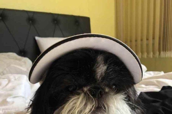 Loli costuma beber muita água durante o período de seca