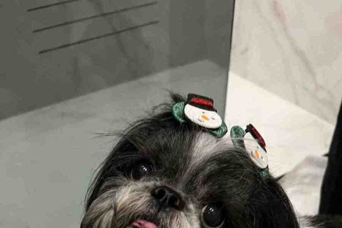 A pet sempre teve muita facilidade em beber bastante água