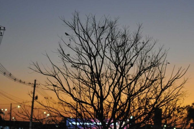 O Cemanden também destacou a relação entre a seca severa e a pobreza. Na foto: Fim de tarde em Brasília -  (crédito: Minervino Júnior/CB/D.A.Press)