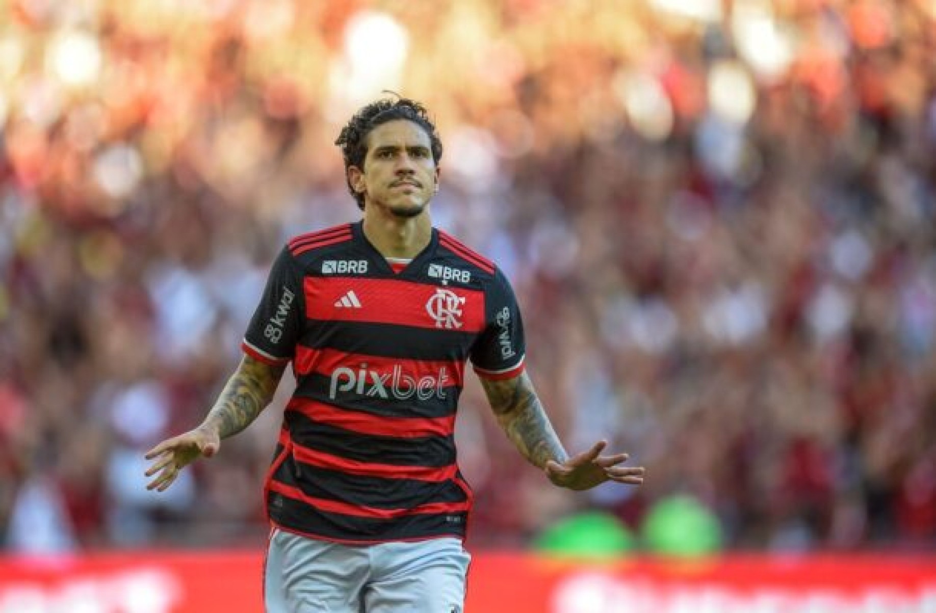 Pedro, do Flamengo, alcança melhor semestre da carreira