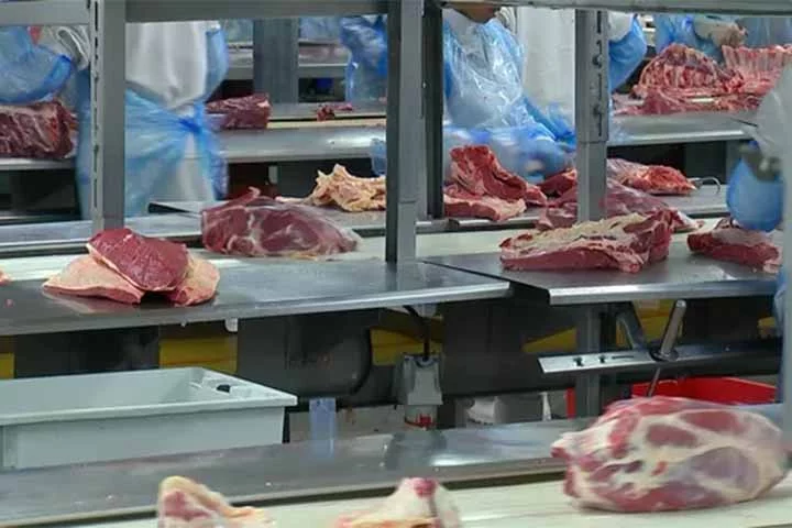 Brasil interrompeu temporariamente neste ano a exportação de carne de novilhas para a UE e limitou os envios à carne de gado bovino macho -  (crédito: Reprodução/TV TEM)