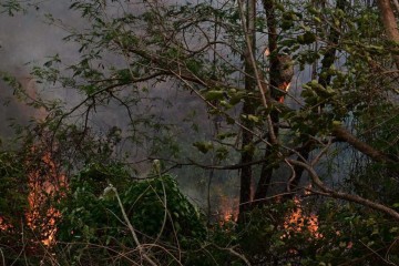 Incêndio é registrado no Pantanal em Corumbá, no estado de Mato Grosso do Sul, Brasil, em 28 de junho de 2024       -  (crédito: PABLO PORCIUNCULA / AFP)