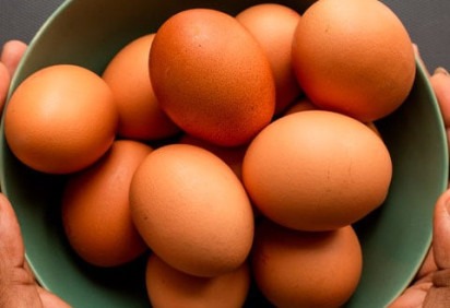 O Brasil bateu recorde na produção de ovos em 2024.  Entre janeiro e março, foram produzidas 892,9 milhões de dúzias para consumo ( “in natura”, industrializados e para exportação). Um aumento de 7,7% em relação ao mesmo período de 2023.  -  (crédito: Unsplash/Louis Hanse)