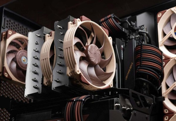 Noctua