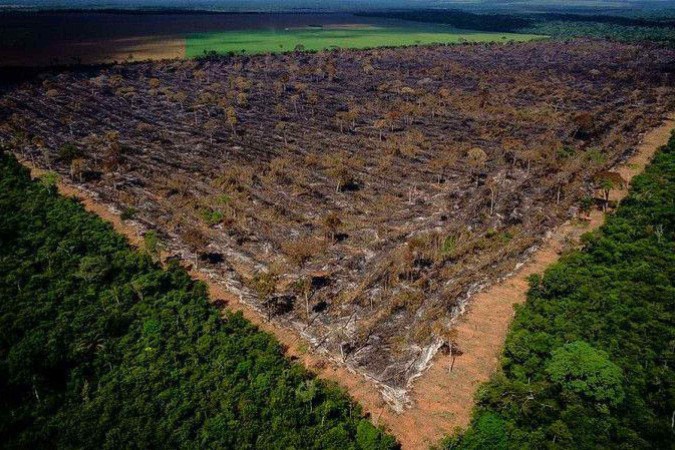 Soja é uma das principais commodities produzidas nas fazendas de Mato Grosso -  (crédito: Reuters)