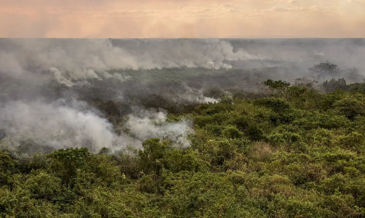 Pantanal poderá ter crise hídrica histórica em 2024, aponta estudo -  (crédito: EBC)