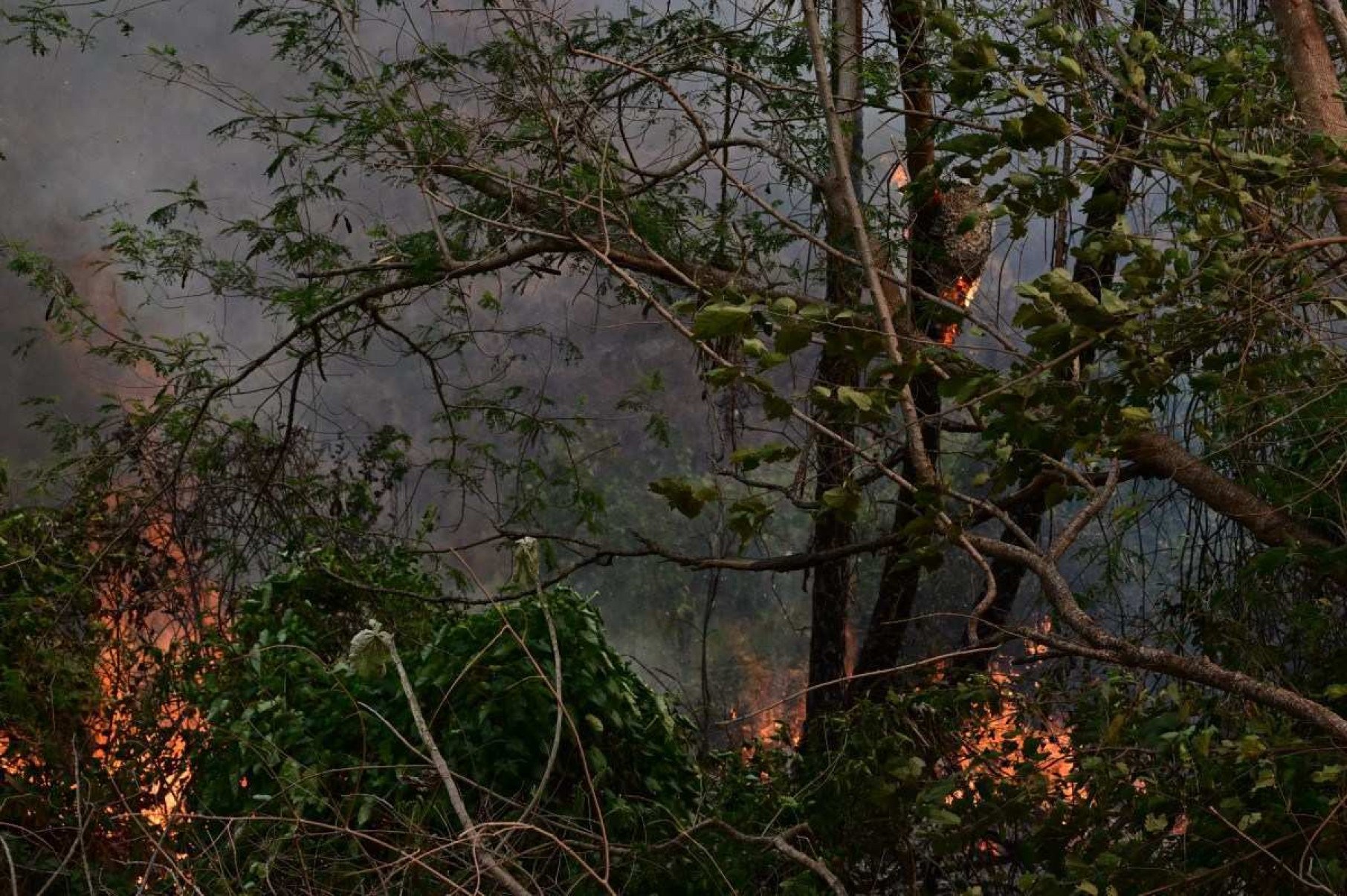 Incêndioé registrado no Pantanal em Corumbá, no estado de Mato Grosso do Sul, Brasil, em 28 de junho de 2024      