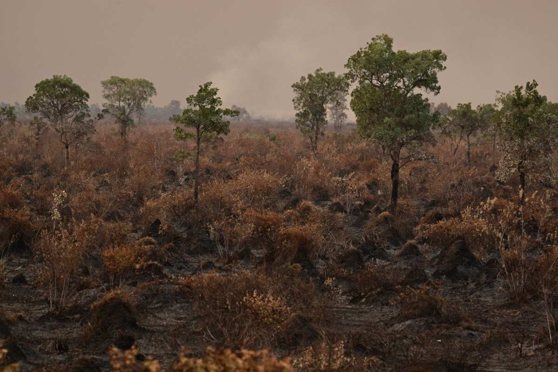 Uma área afetada por um incêndio é registrada no Pantanal, Corumbá, estado de Mato Grosso do Sul, Brasil, em 28 de junho de 2024            