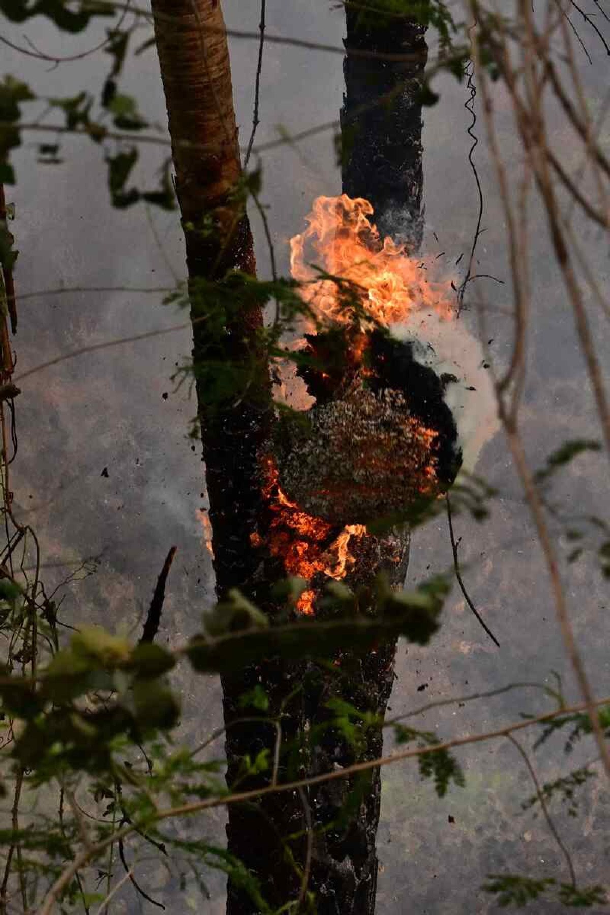 Área afetada por incêndio é registrada no Pantanal, Corumbá, estado de Mato Grosso do Sul, Brasil, em 28 de junho de 2024            