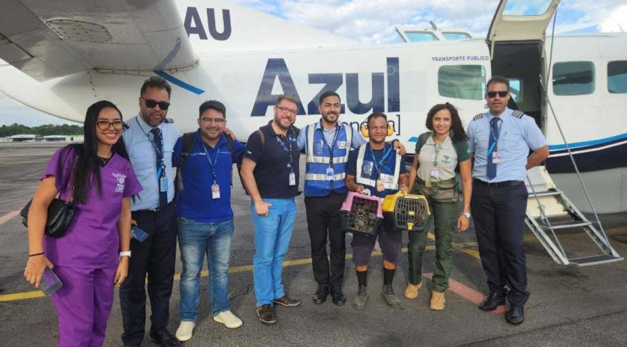 Força-tarefa do ICMBio, Azul e Embratur resgata dois filhotes onças na Amazônia