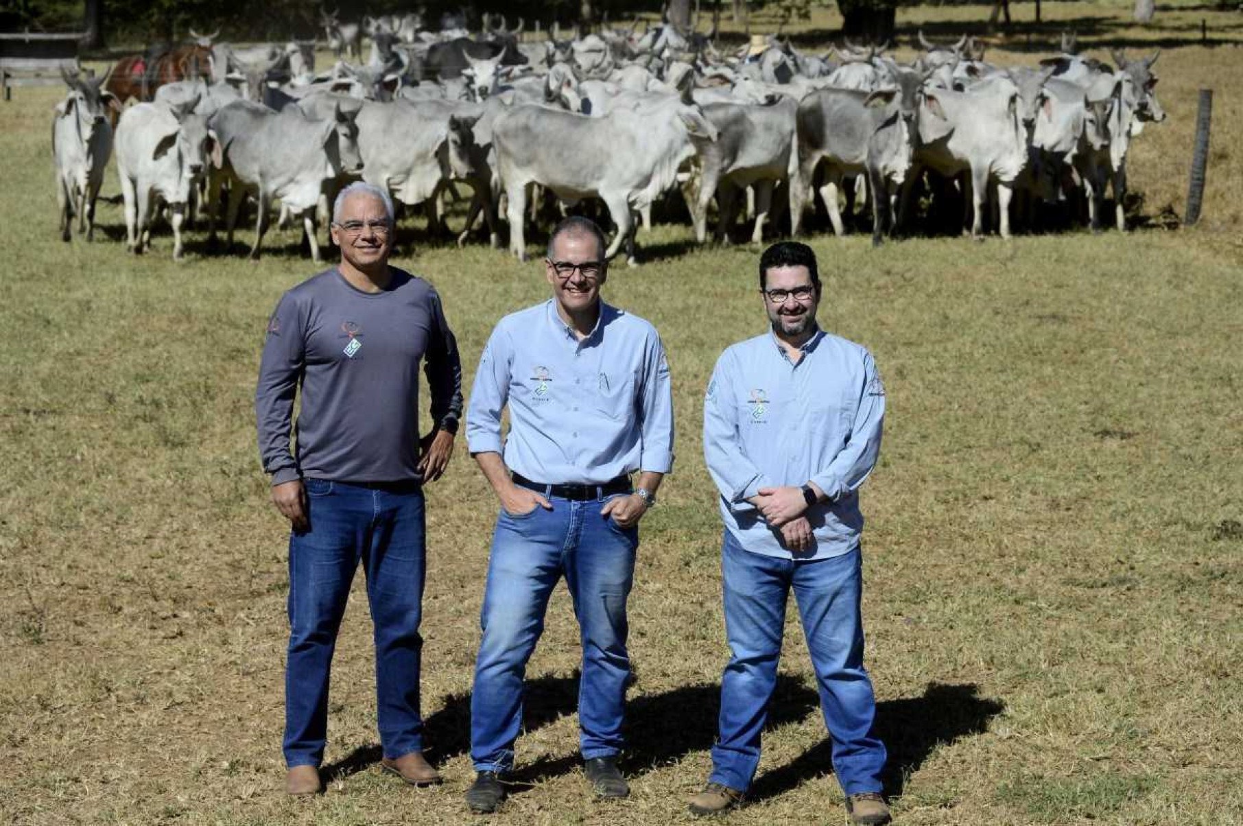 O pecuarista Adriano Varela Galvão (centro) comanda produção do bovino Guzerá junto a seus sócios