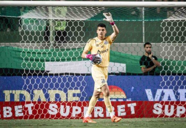 Foto: Raul Baretta/ Santos FC