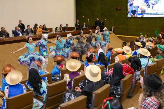 A quadrilha Formiga da Roça, atual campeã do DF pela Linqdfe, realizou uma apresentação na solenidade.  -  (crédito: William Sant'Ana / Senado Federal )