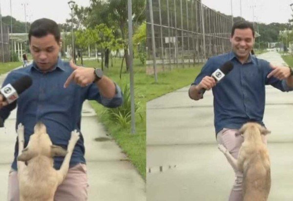 Reprodução TV Globo