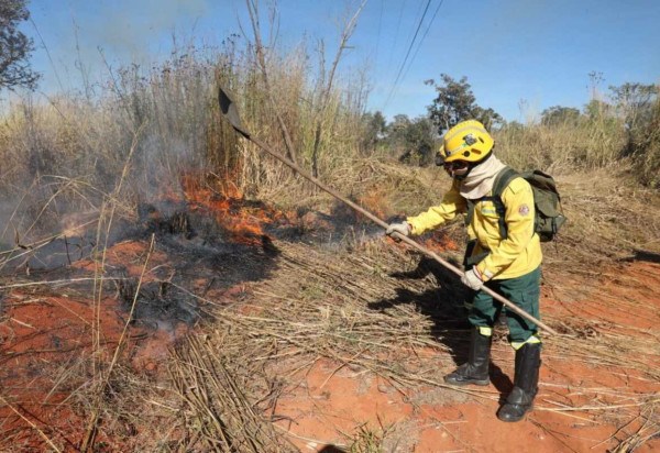 Novos equipamentos garantirão a brigadistas mais condições de atuar para a preservação do meio ambiente -  (crédito: Paulo H. Carvalho/Agência Brasília)