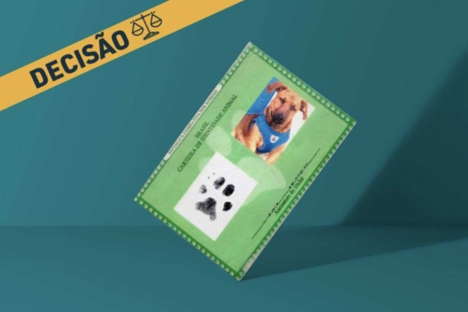  Carteira de identidade de cachorro. -  (crédito:  TJPR/Divulgação)