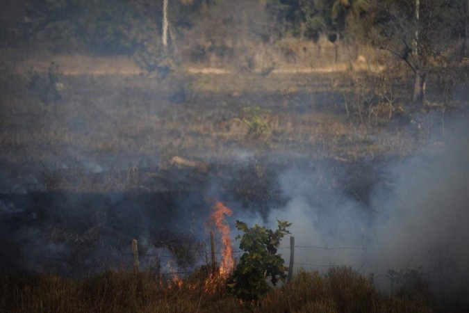 Em apenas 24 horas, mais de 100 mil hectares foram consumidos pelo fogo no Pantanal, elevando para 8,7% a área total do bioma afetada pelas queimadas em 2024 -  (crédito: Alexandre Guzanshe/Estado de Minas)