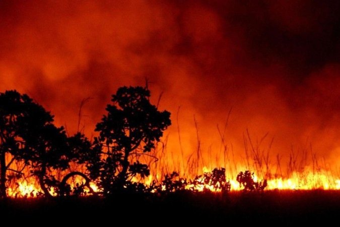 Em período de seca, focos de incêndio são comuns no DF