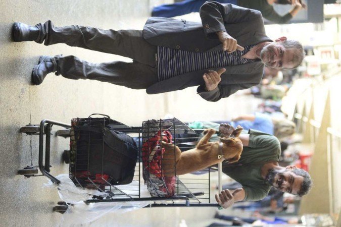  Ricardo Pereira de Almeida e Jakeh Skirovasc (paletó) se divertem na companhia do filhote caramelo 