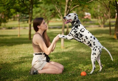 Fazer atividades com os pets nas férias cria memórias especiais e aumenta o vínculo com eles (Imagem: sergey kolesnikov | Shutterstock)   -  (crédito: EdiCase)