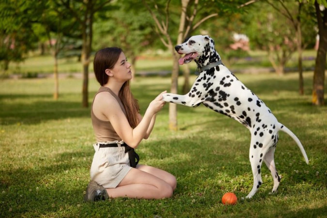 Fazer atividades com os pets nas férias cria memórias especiais e aumenta o vínculo com eles (Imagem: sergey kolesnikov | Shutterstock)   -  (crédito: EdiCase)