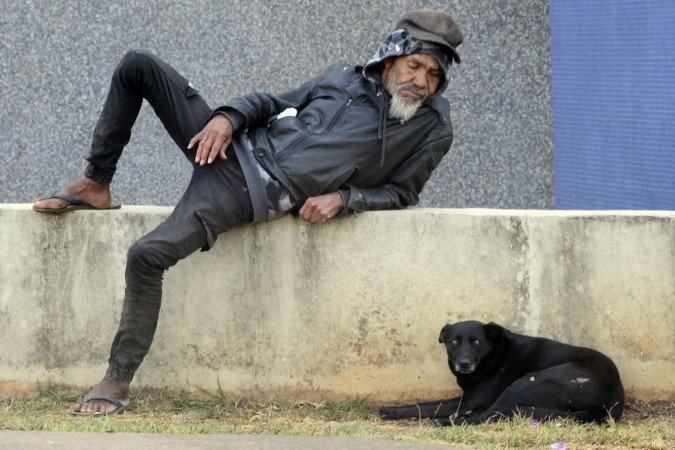 A cadelinha segue o catador de recicláveis aonde quer que ele vá 