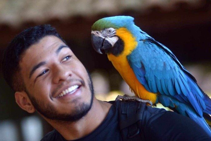 A arara Minnie se encantou por Daniel Souza, 22 anos, e o sentimento foi recíproco