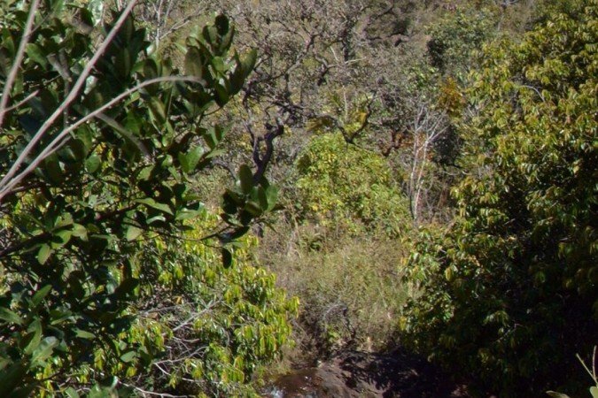  18/07/2024 Credito: Ed Alves/CB/DA.Press. Cidades.  Ferias - Chapada Imperial. 
    