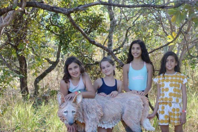 Esculturas em madeira são usadas para educação ambiental
