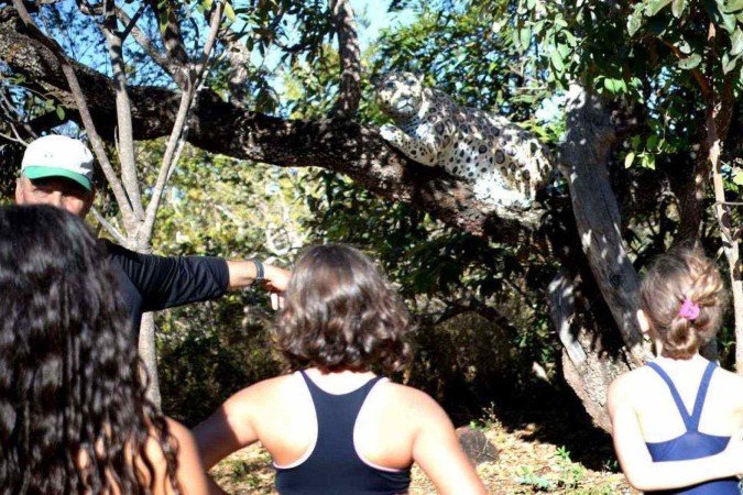 A escultura da onça é um dos sucessos nas atividades educativas