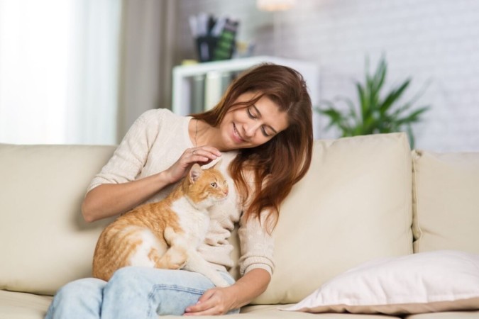 Gatos idosos precisam de cuidados especiais para se manterem saudáveis e felizes (Imagem: Media Home |  Shutterstock) -  (crédito: EdiCase)