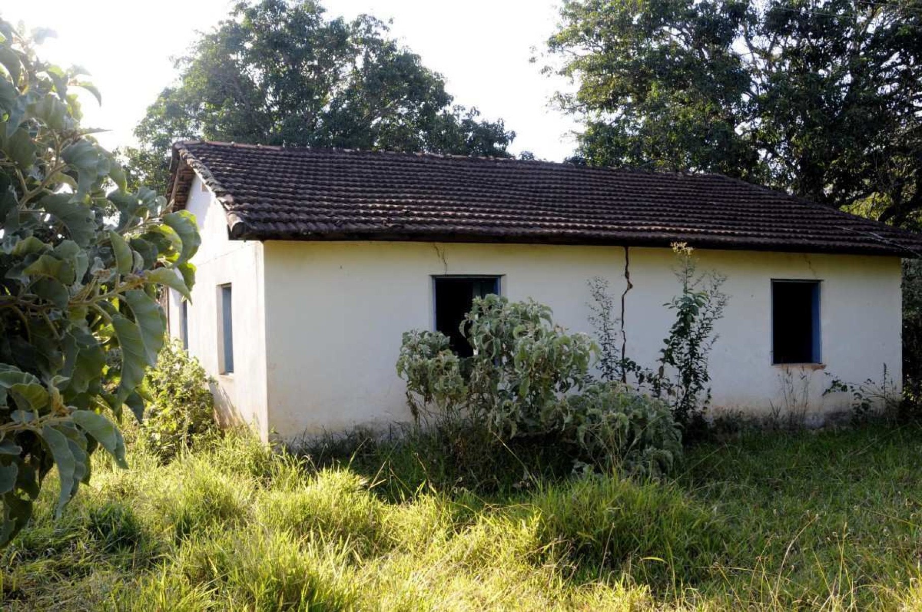 Área do quilombo Mesquita    