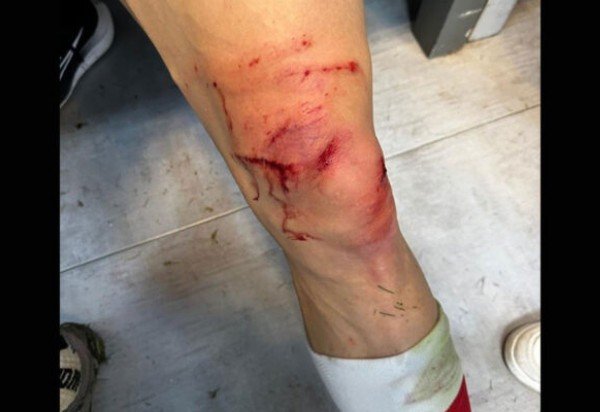 Foto: Reprodução / Instagram @pedropdispa