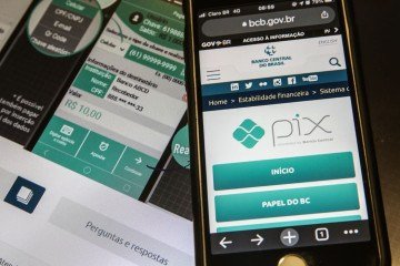 O PIX é um meio de pagamentos e transferências desenvolvido pelo Banco Central do Brasil para facilitar as transações financeiras. Atualmente, é o segundo meio de pagamento preferido dos brasileiros. -  (crédito: Marcello Casal Jr/Agência Brasil)