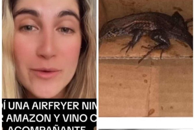 Mulher recebe air fryer com um réptil vivo na embalagem -  (crédito: Reprodução/Tik Tok @Sofia.Serrano)