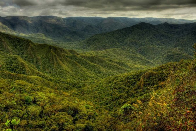 Parque Nacional da Serra da Gandarela (MG): espécies de altitudes elevadas são mais sensíveis -  (crédito: Frederico Pereira/Picasa)