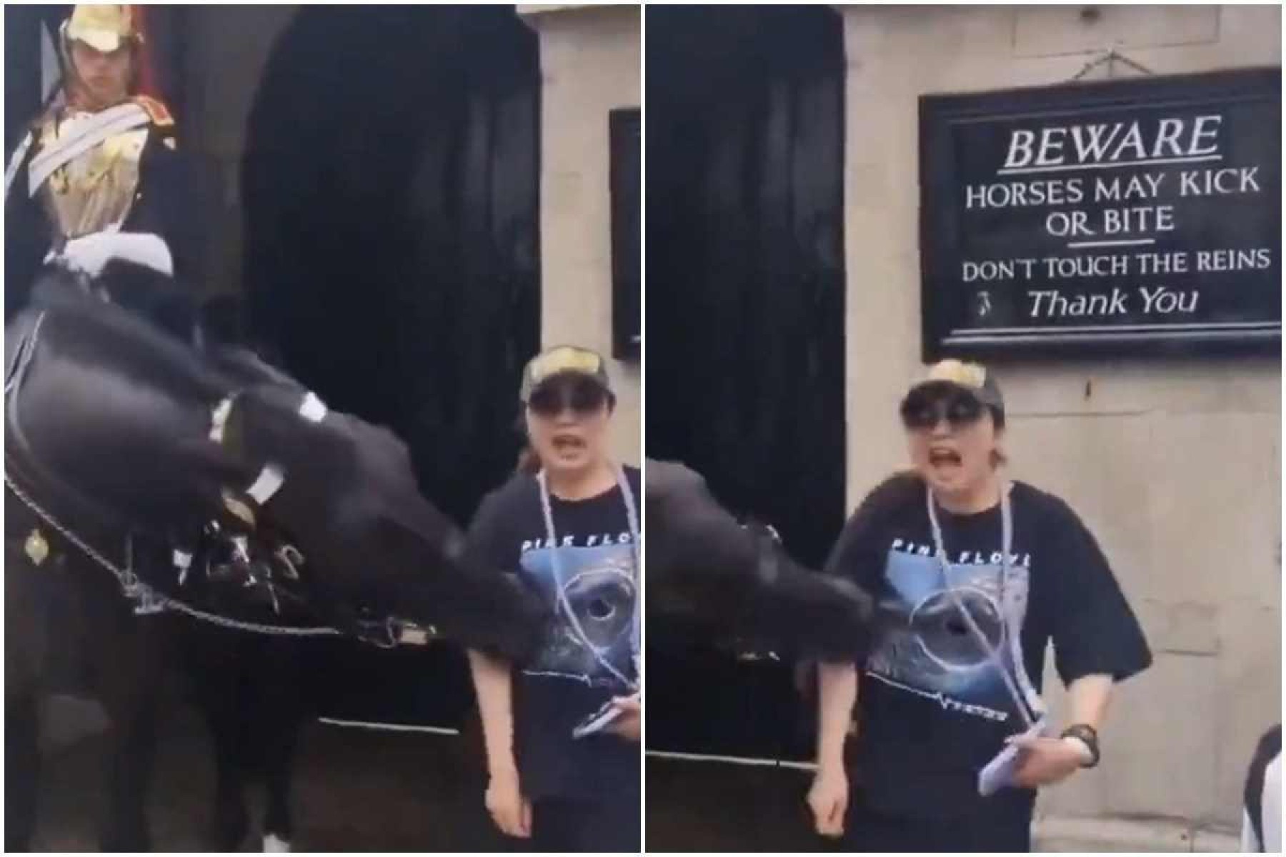 Mulher desmaia após ser mordida por cavalo da Guarda Real britânica