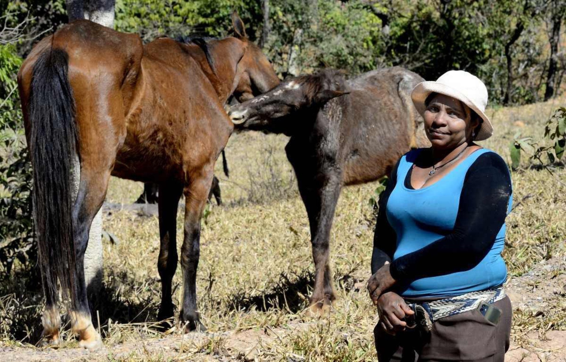 Abandonados, animais de grande porte aguardam um novo lar