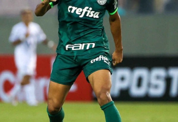 Foto: Cesar Greco/Palmeiras/by Canon