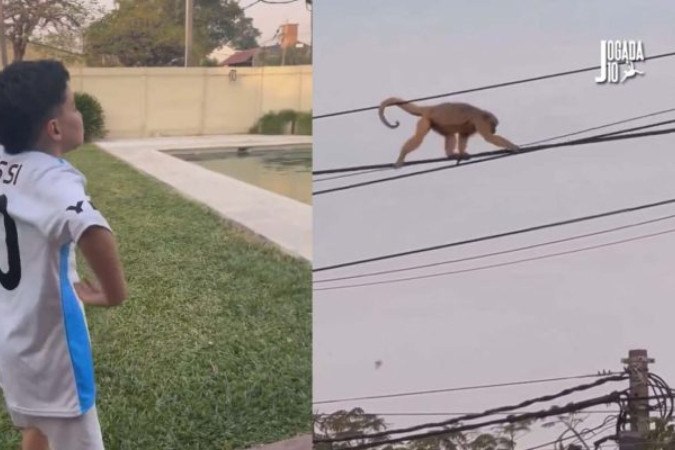 Criança com a camisa da Argentina imita um macaco e chama o animal de Vini Jr -  (crédito: Foto: Reprodução/Redes Sociais)