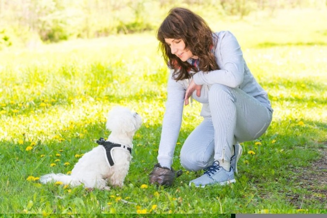 Evitar o contato com as fezes e urina de pets é fundamental para evitar doenças causadas por parasitas (Imagem: Monika Wisniewska | Shutterstock)  -  (crédito: EdiCase)