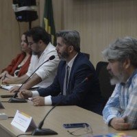 'Passar áreas verdes para a Terracap tem efeito nefasto à preservação de Brasília' - 