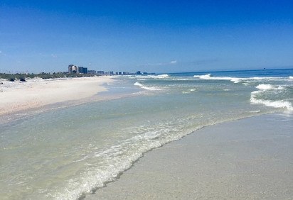 Em 1948, na Flórida,  surgiu a Lenda do Pinguim Gigante. Um ser que habitaria a Praia de Clearwater Beach, numa ilha do Golfo do México, localizada no centro-oeste da Flórida. Mas o tal animal foi inventado por um morador, que enganou o povo na região por muito tempo. -  (crédito:  Stepheneric9  wikimedia commons )